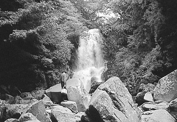 奈曽の白瀑